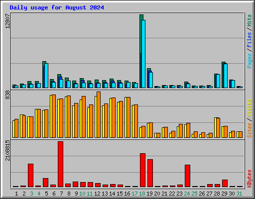 Daily usage for August 2024