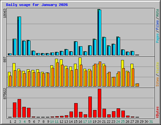 Daily usage for January 2026