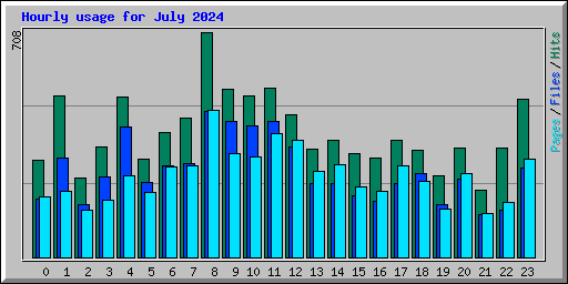 Hourly usage for July 2024