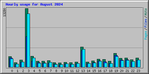 Hourly usage for August 2024