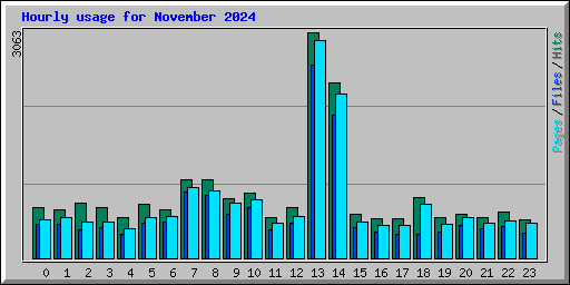 Hourly usage for November 2024