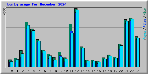 Hourly usage for December 2024