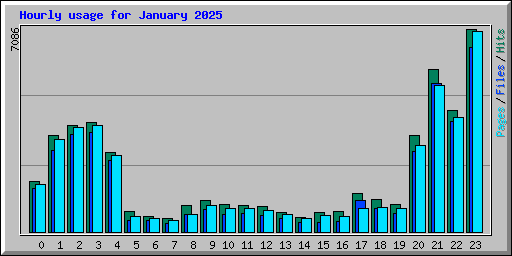 Hourly usage for January 2025
