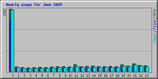 Hourly usage for June 2025