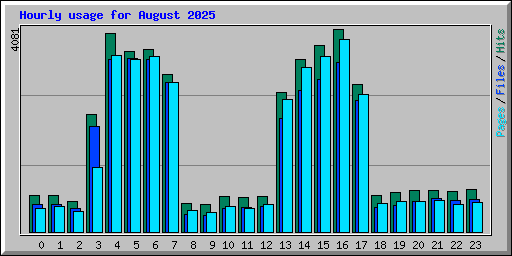 Hourly usage for August 2025