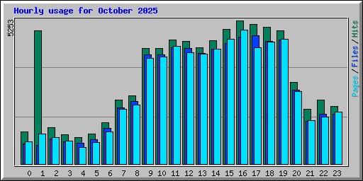 Hourly usage for October 2025