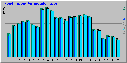 Hourly usage for November 2025