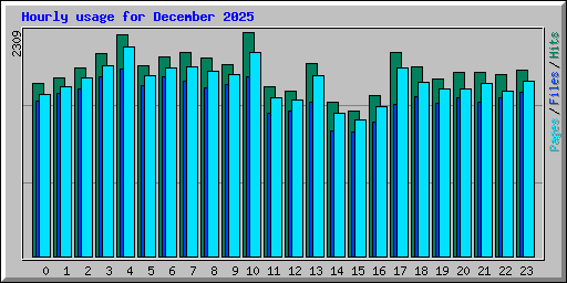 Hourly usage for December 2025