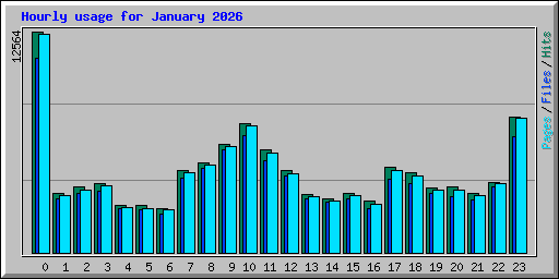 Hourly usage for January 2026