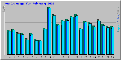 Hourly usage for February 2026