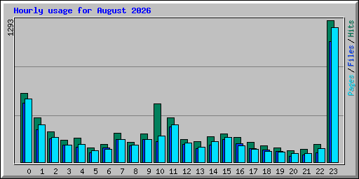 Hourly usage for August 2026